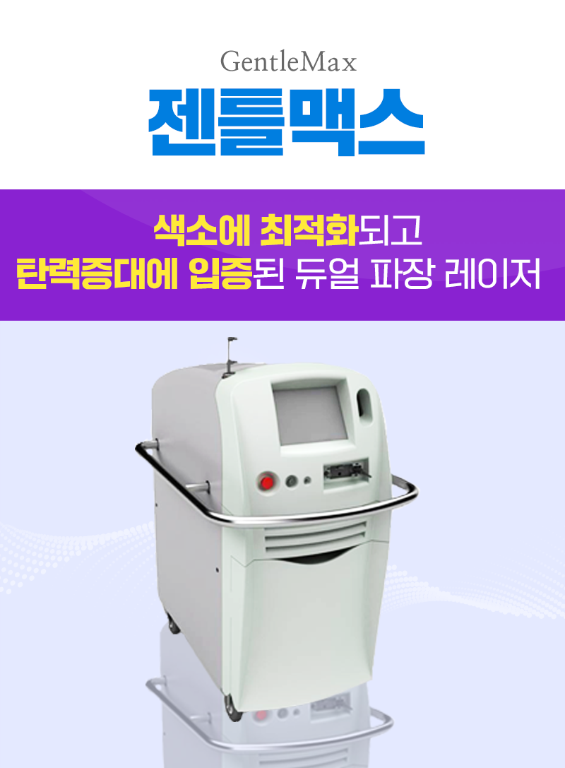 젠틀맥스
