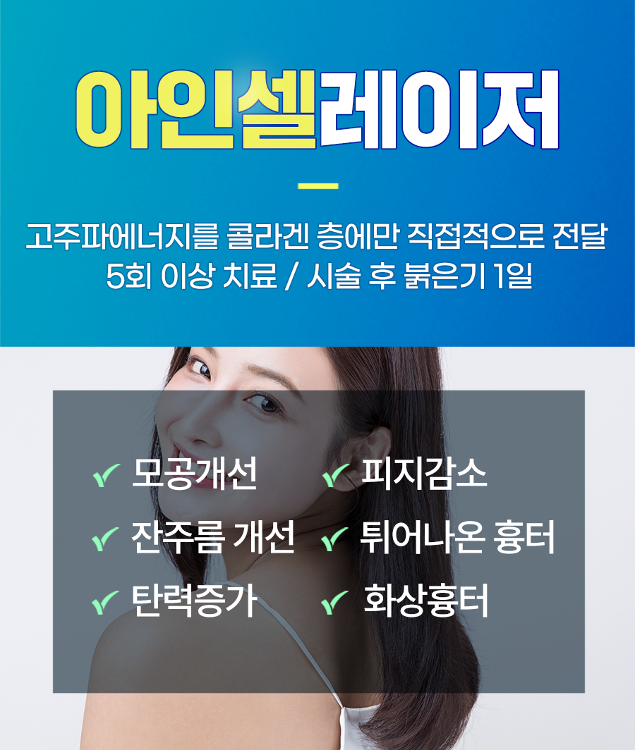 아인셀-1