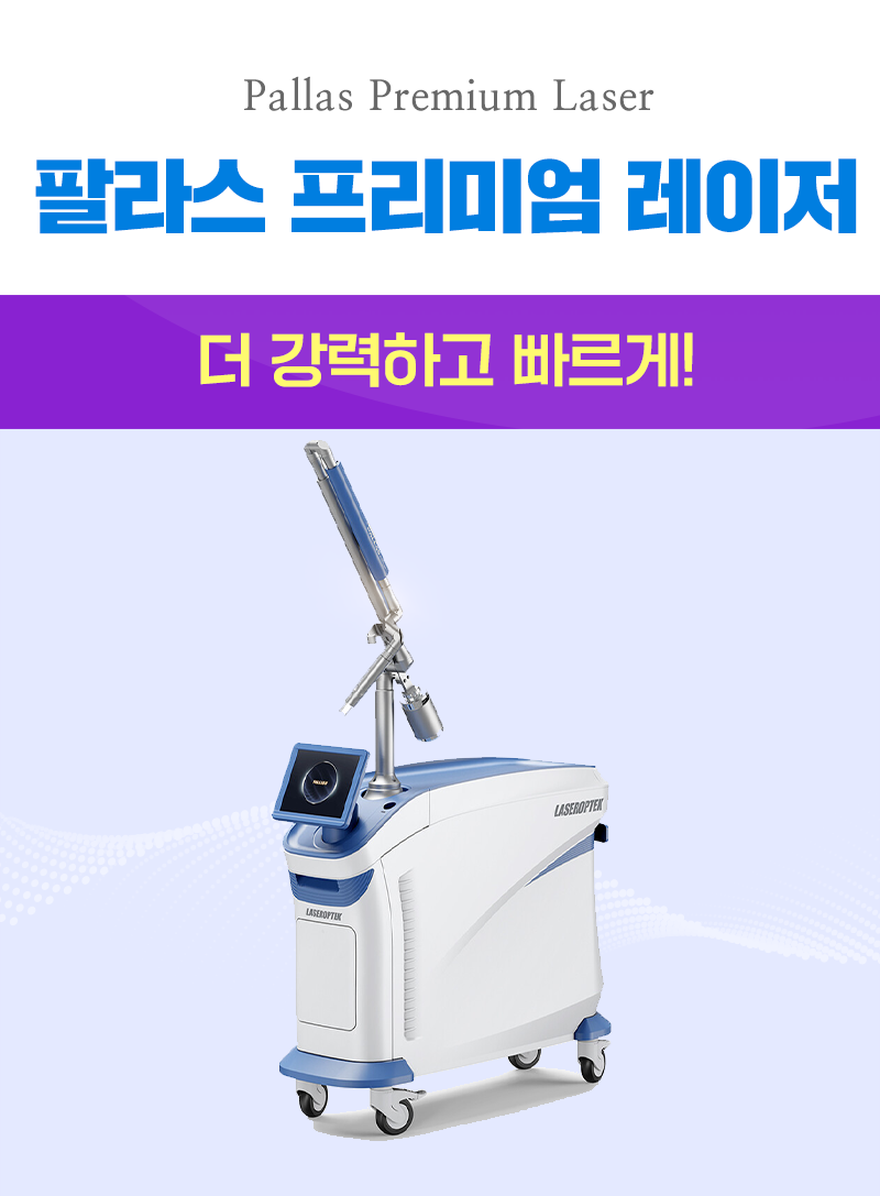 팔라스 프리미엄 레이저
