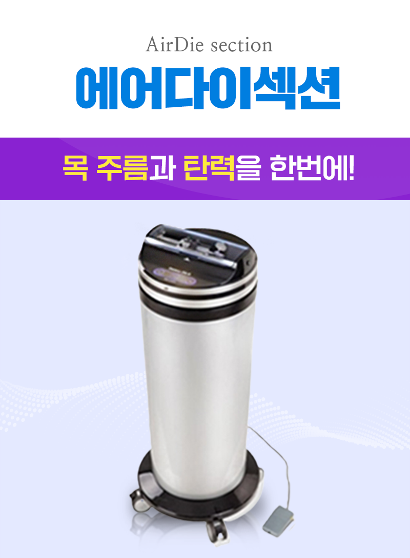 에어다이섹션